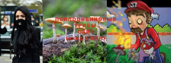 гидра Пересвет